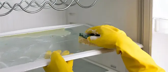 Fridges & Freezers