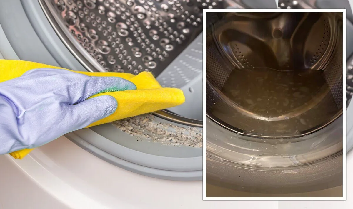 Dishwashers & Washing Machines